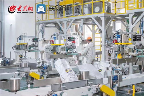 智匯沂南 創新發展⑤丨加速度 舜天化工3條5萬噸三聚氰胺生產線將投產 新材料技術研發